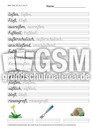 DSS_2S_Bu_ß_Nr_07.pdf